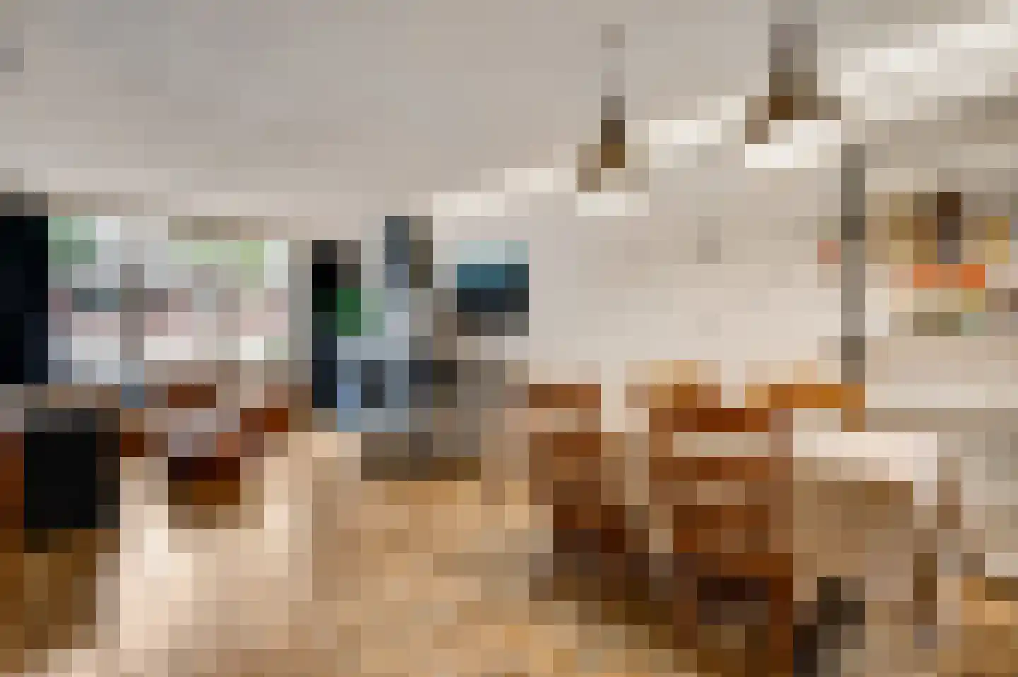 Emmastraat 51 Venlo thumbnail 8