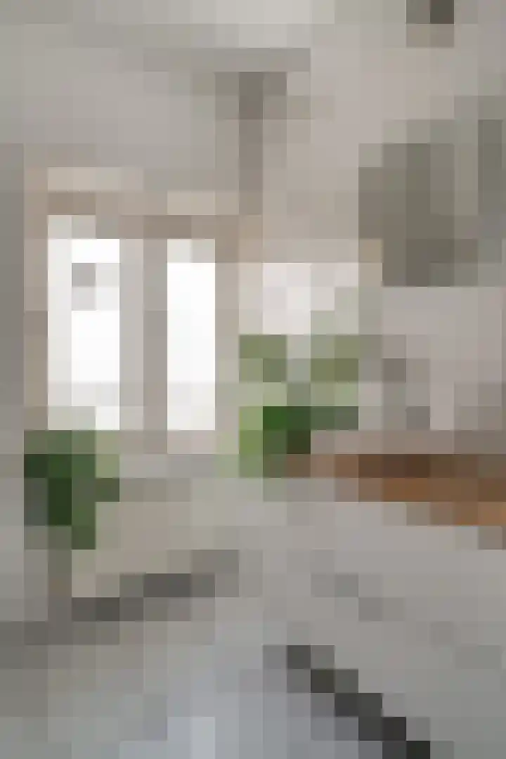 Emmastraat 56 3 Arnhem thumbnail 25