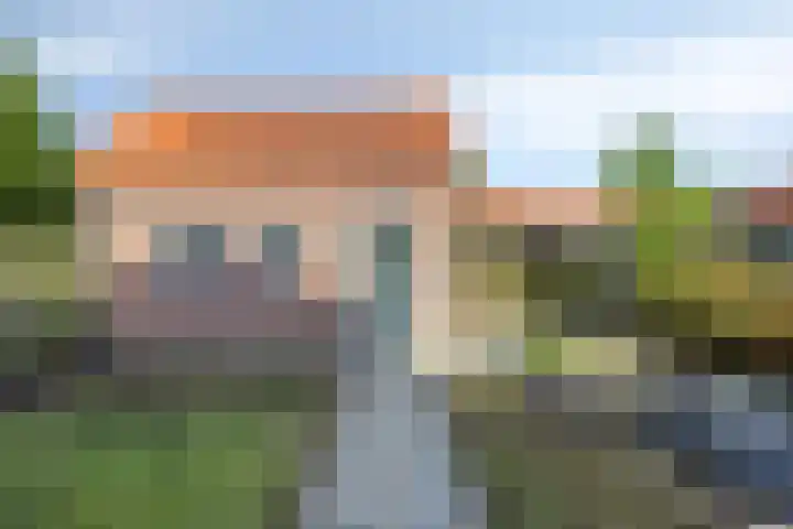 Emmastraat 59 Oude-Tonge thumbnail 23