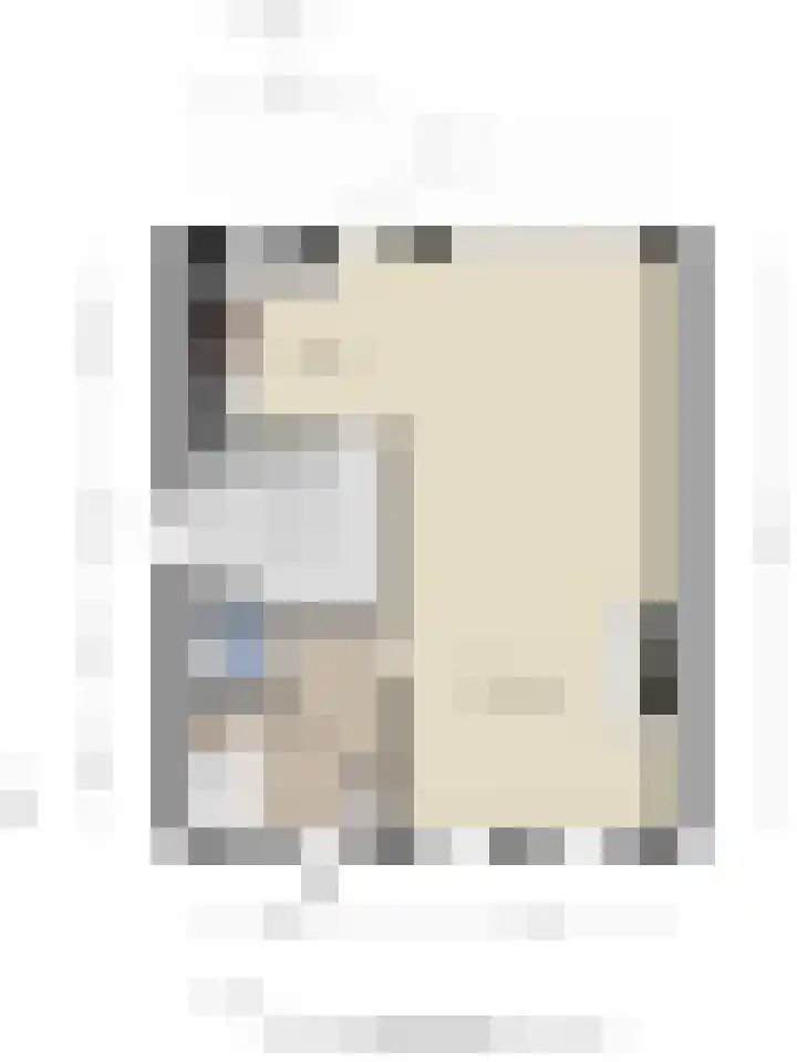 Emmastraat 59 Oude-Tonge thumbnail 27