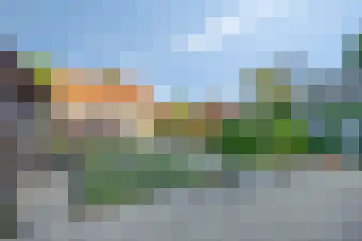 Emmastraat 59 Oude-Tonge thumbnail 5