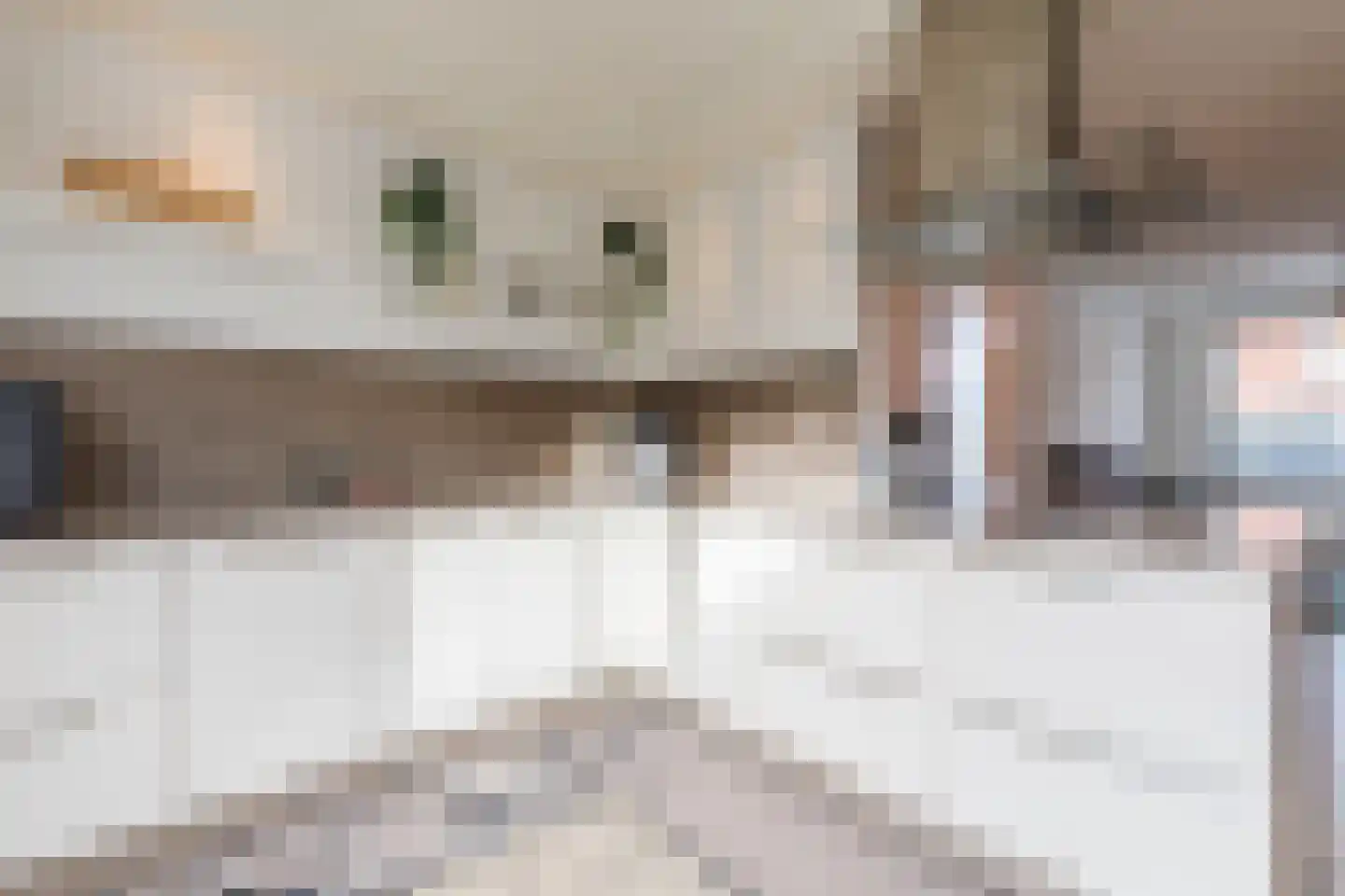 Emmastraat 6 Linne thumbnail 13