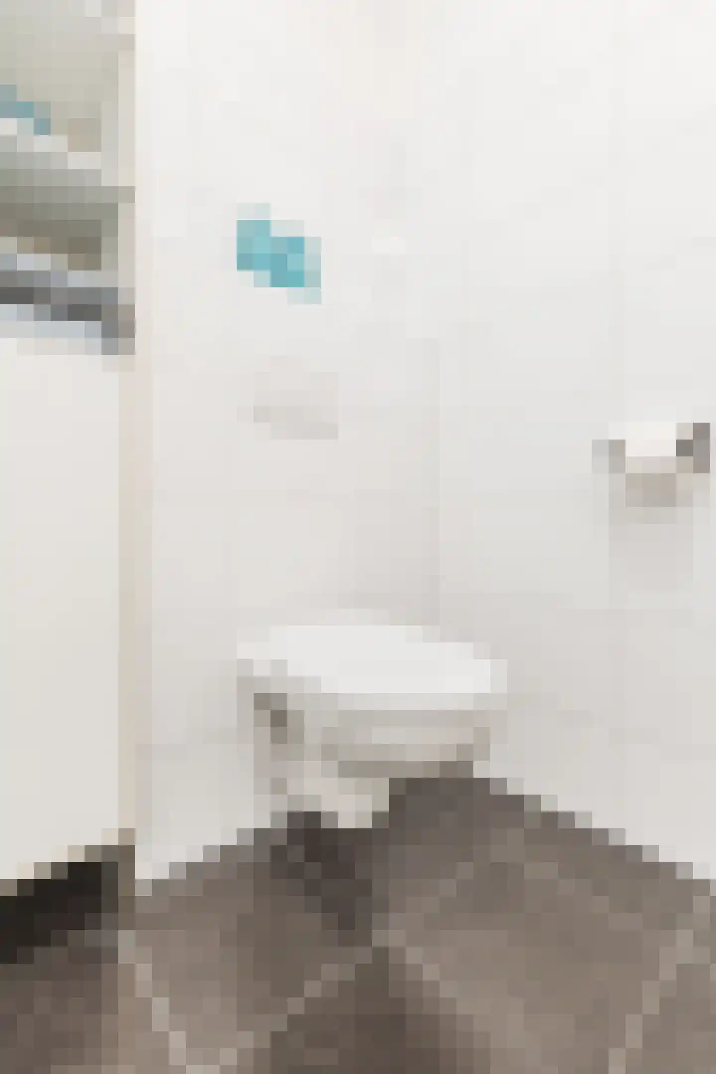 Emmastraat 6 Linne thumbnail 31