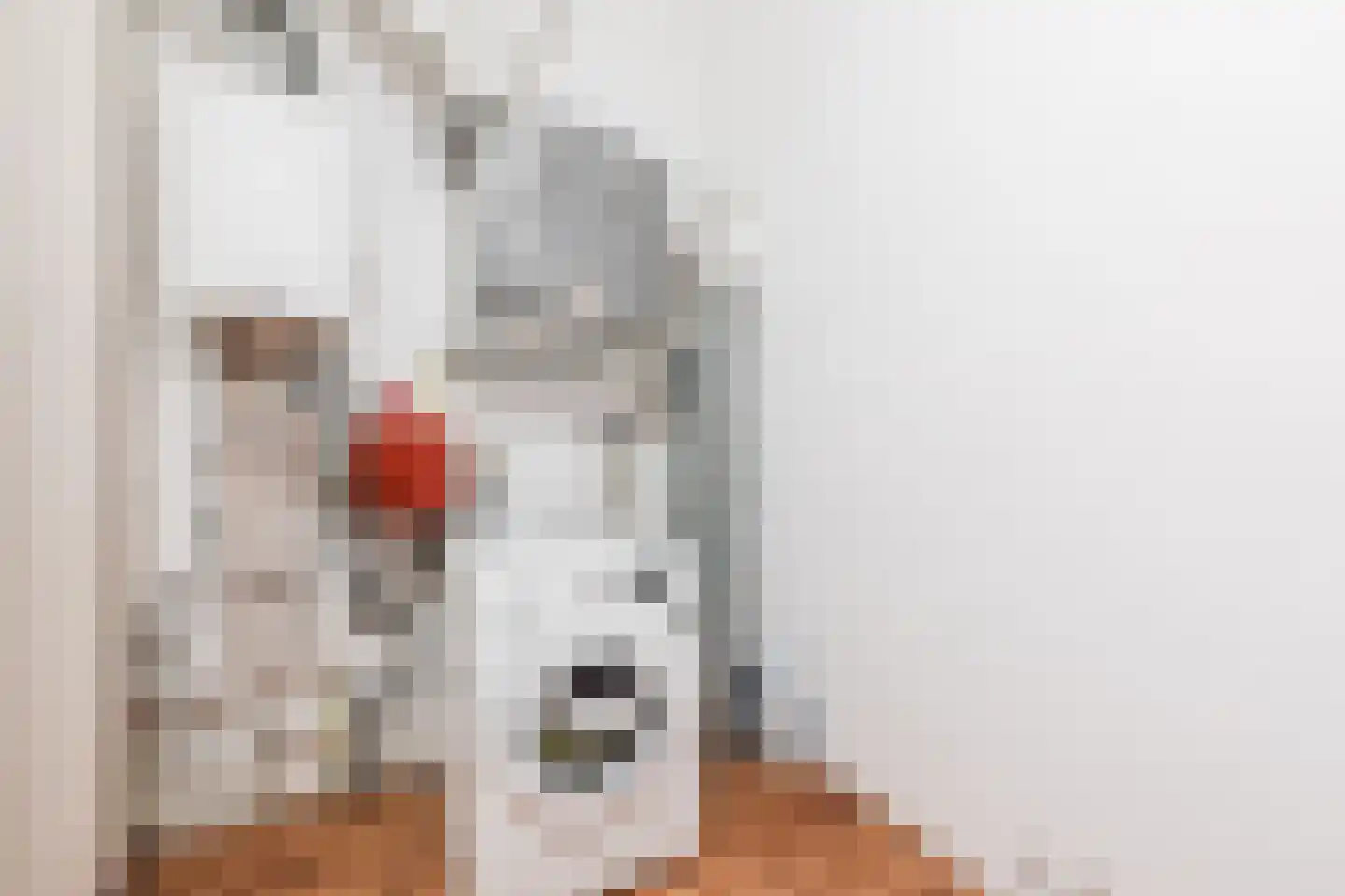 Emmastraat 6 Linne thumbnail 33