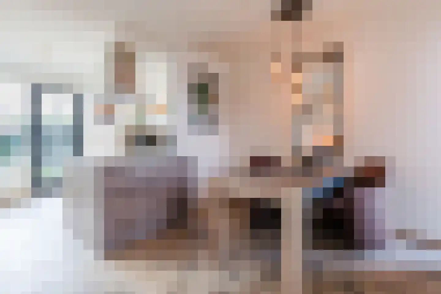 Emmastraat 6 Linne thumbnail 9