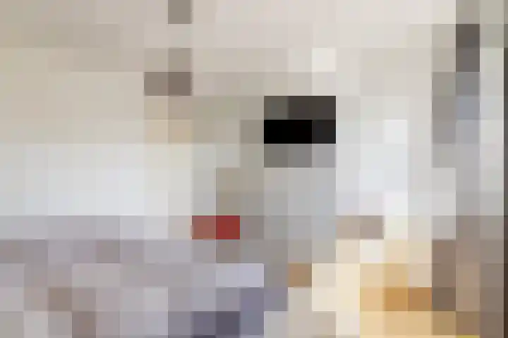 Emmastraat 6 Monster thumbnail 24