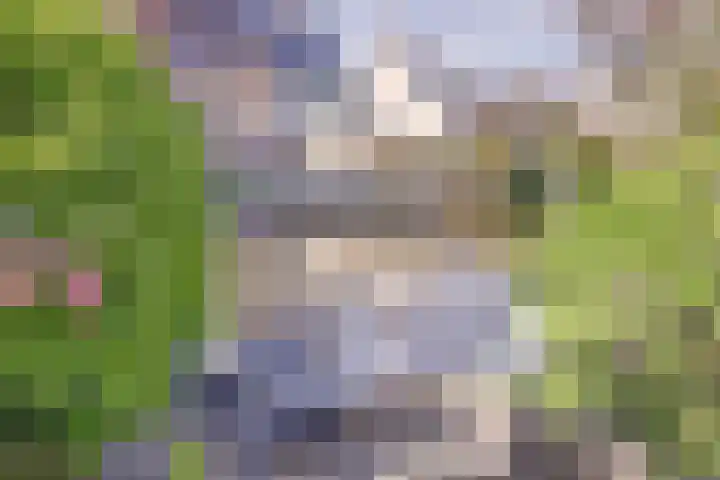 Emmastraat 6 Monster thumbnail 44
