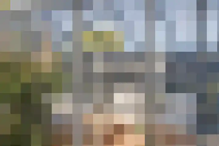 Emmastraat 6 Monster thumbnail 50