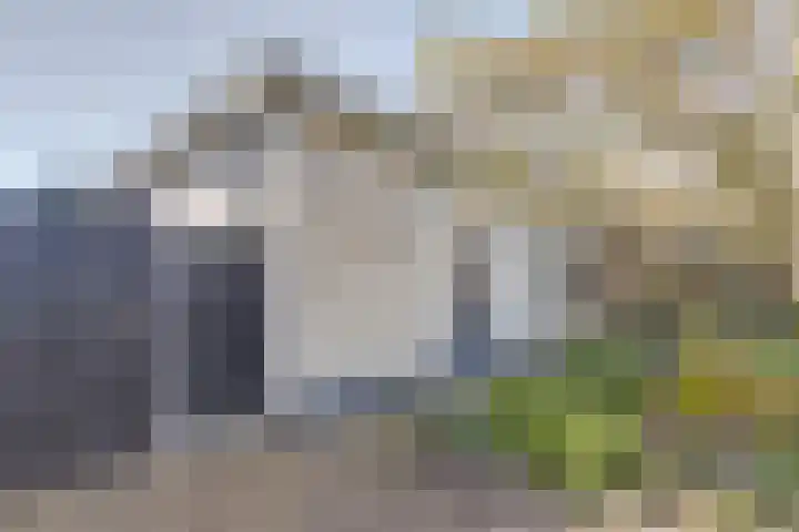 Emmastraat 6 Monster thumbnail 52