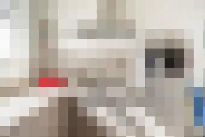 Emmastraat 6 Monster thumbnail 61