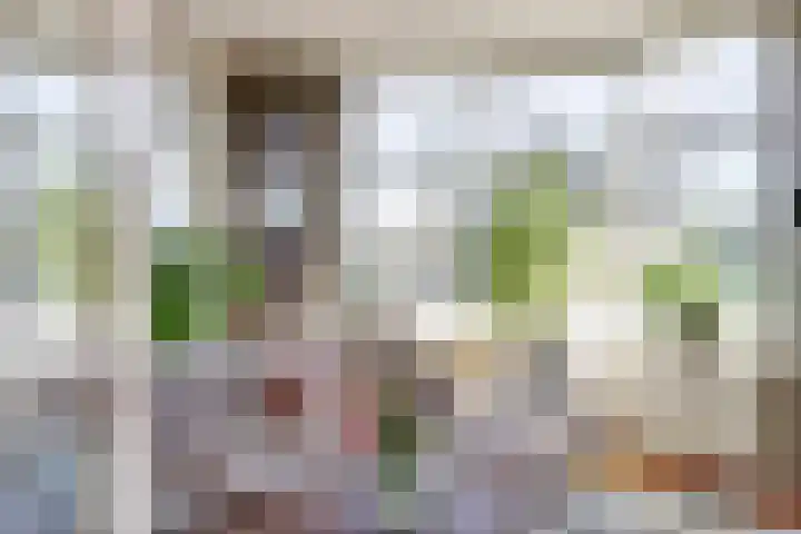 Emmastraat 6 Monster thumbnail 9