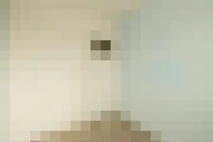 Emmastraat 6 Noordwijkerhout thumbnail 10