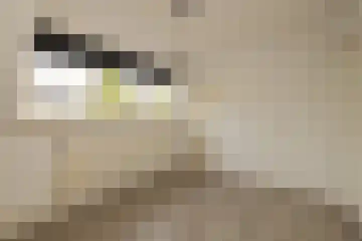 Emmastraat 6 Noordwijkerhout thumbnail 12
