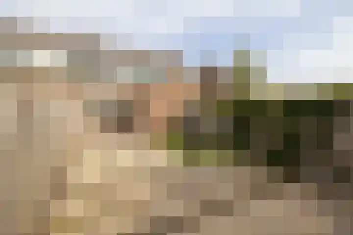 Emmastraat 6 Noordwijkerhout thumbnail 22