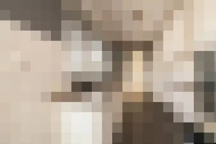 Emmastraat 6 Noordwijkerhout thumbnail 7