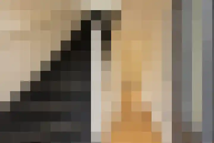Emmastraat 6 Noordwijkerhout thumbnail 8