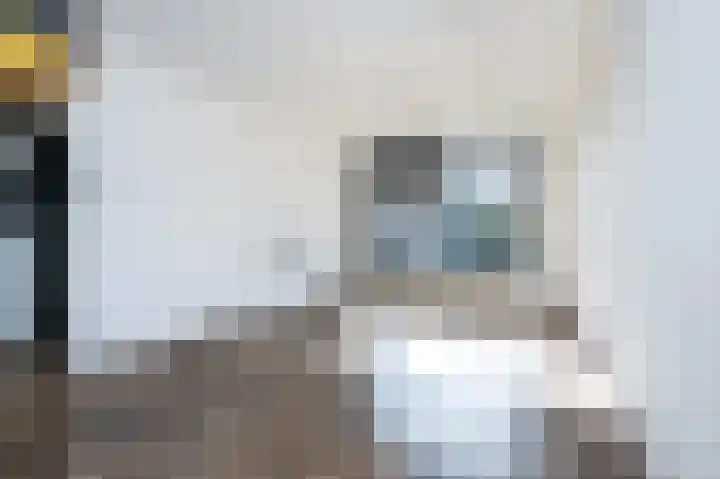 Emmastraat 6 Oude-Tonge thumbnail 7