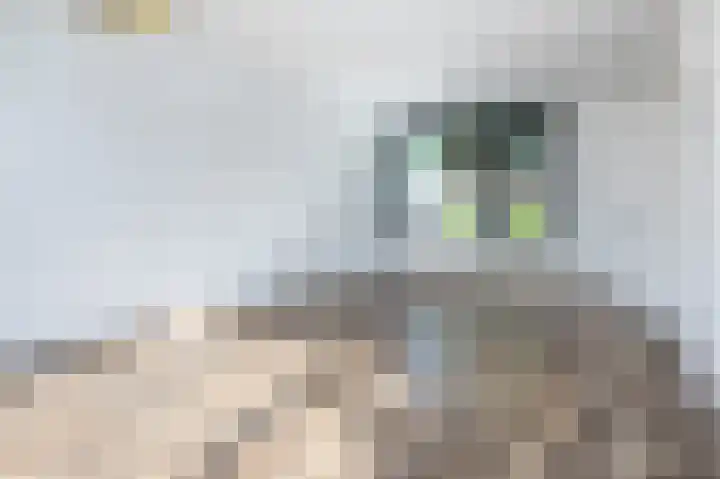 Emmastraat 6 Oude-Tonge thumbnail 9