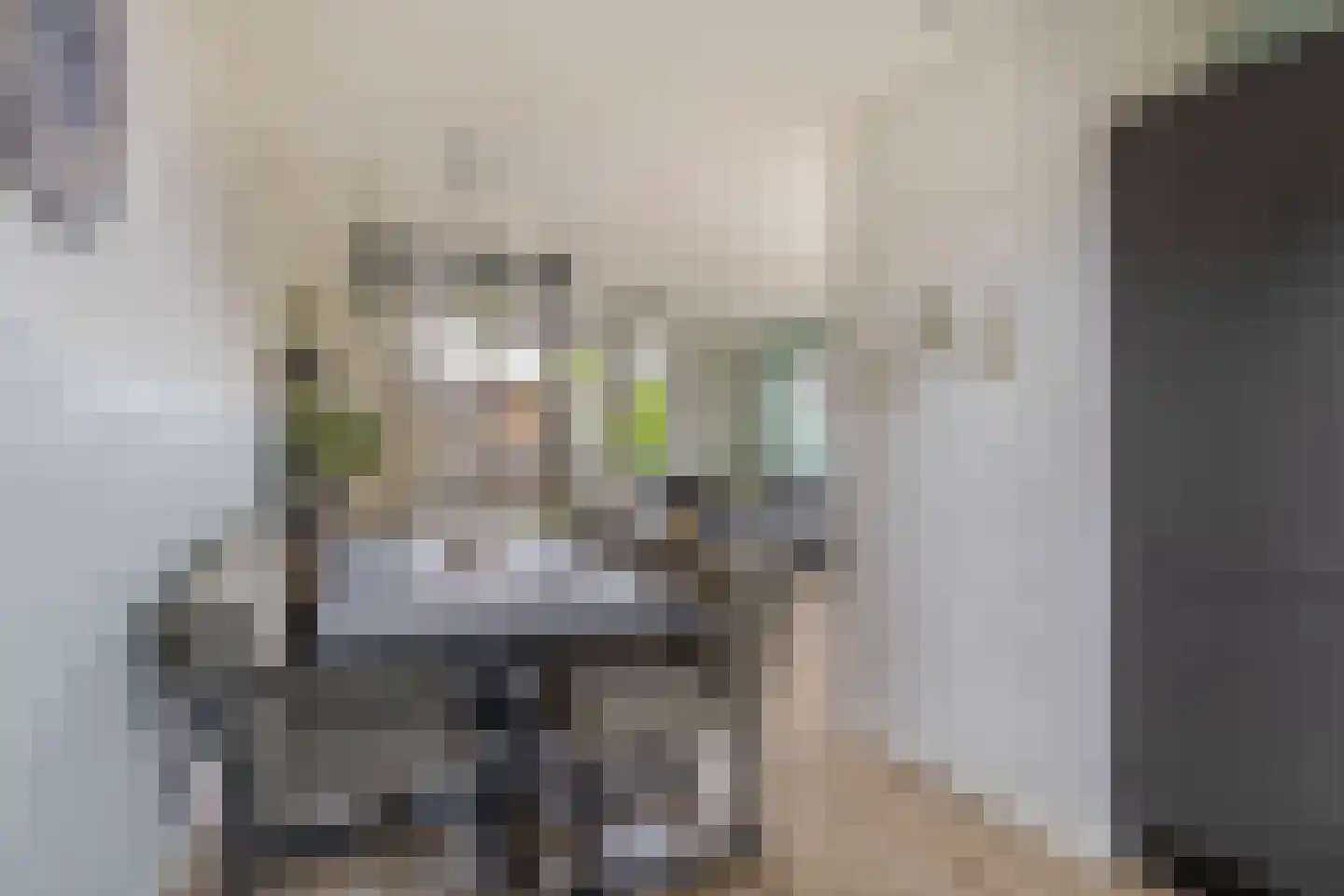 Emmastraat 6 Pijnacker thumbnail 9