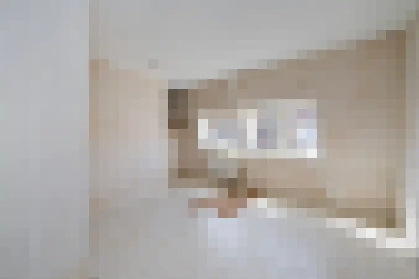 Emmastraat 6 Voorburg thumbnail 11