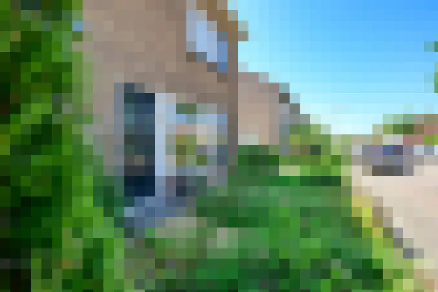 Emmastraat 62 Den Bommel thumbnail 10