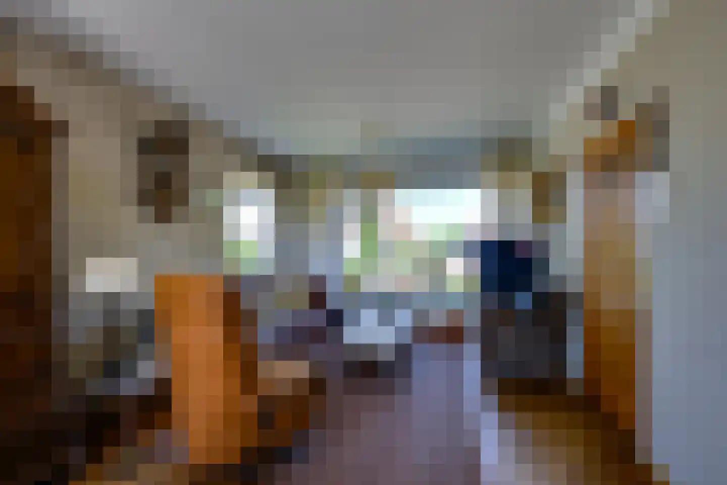 Emmastraat 62 Den Bommel thumbnail 20