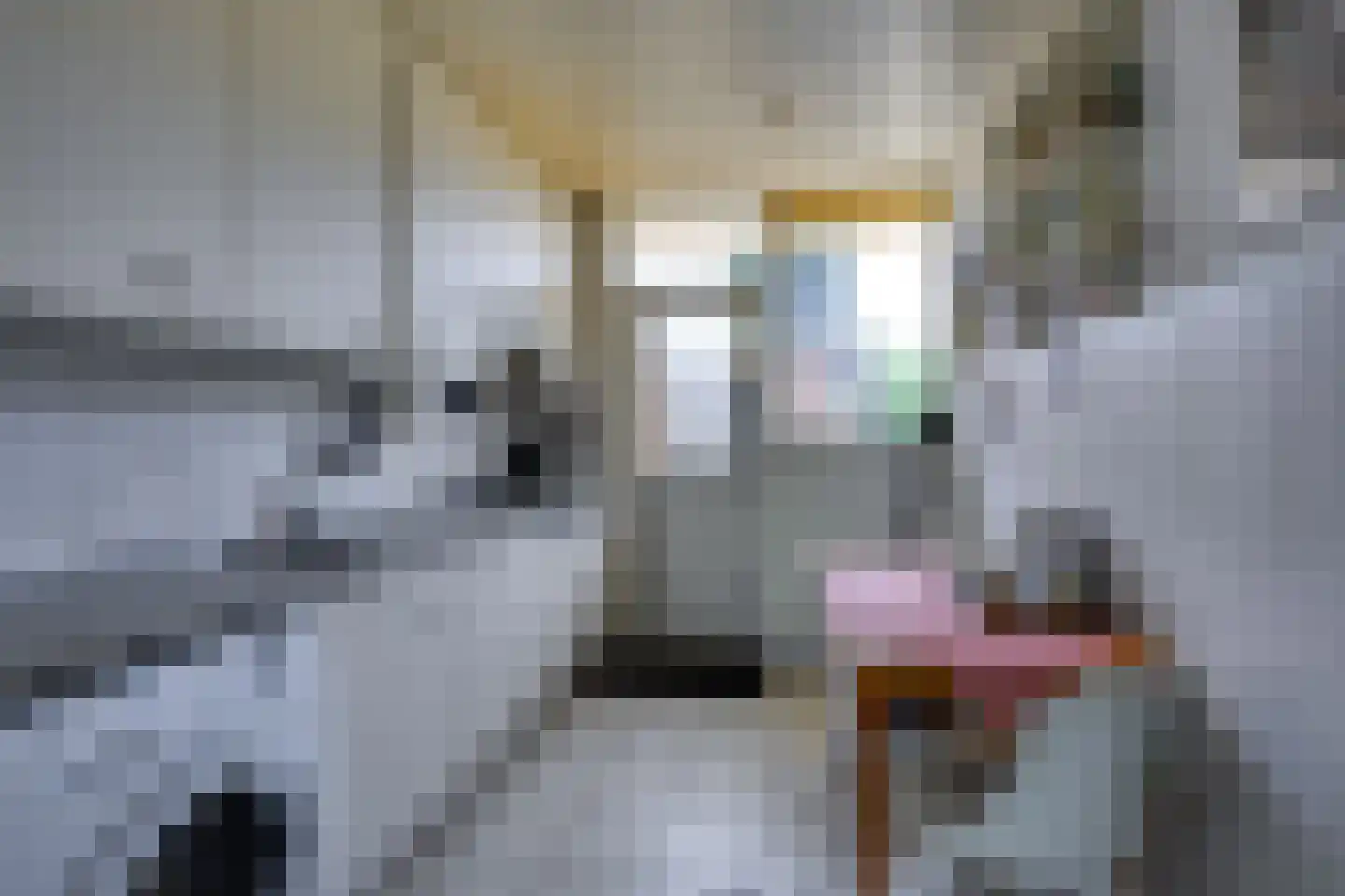 Emmastraat 62 Den Bommel thumbnail 24