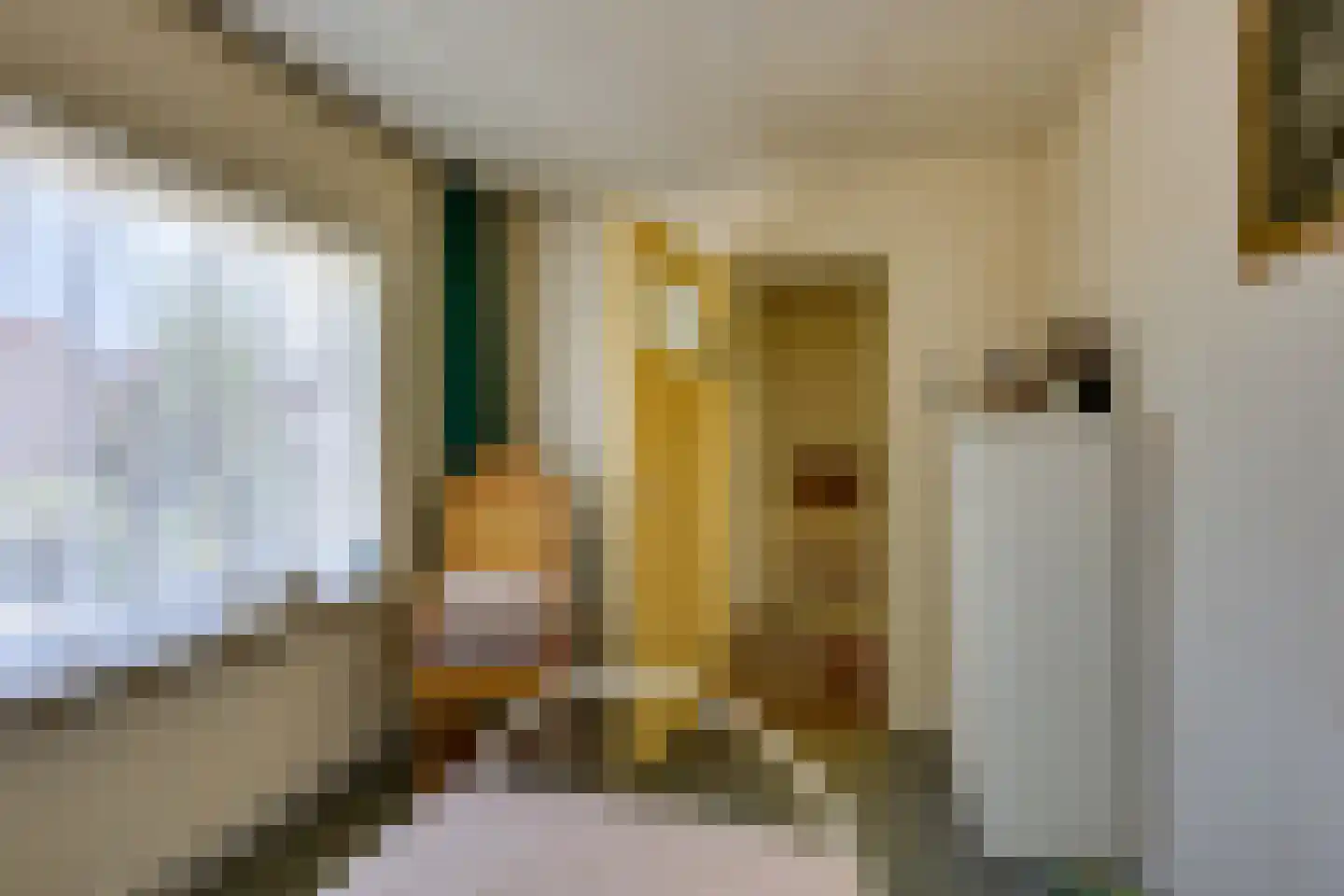 Emmastraat 62 Den Bommel thumbnail 36