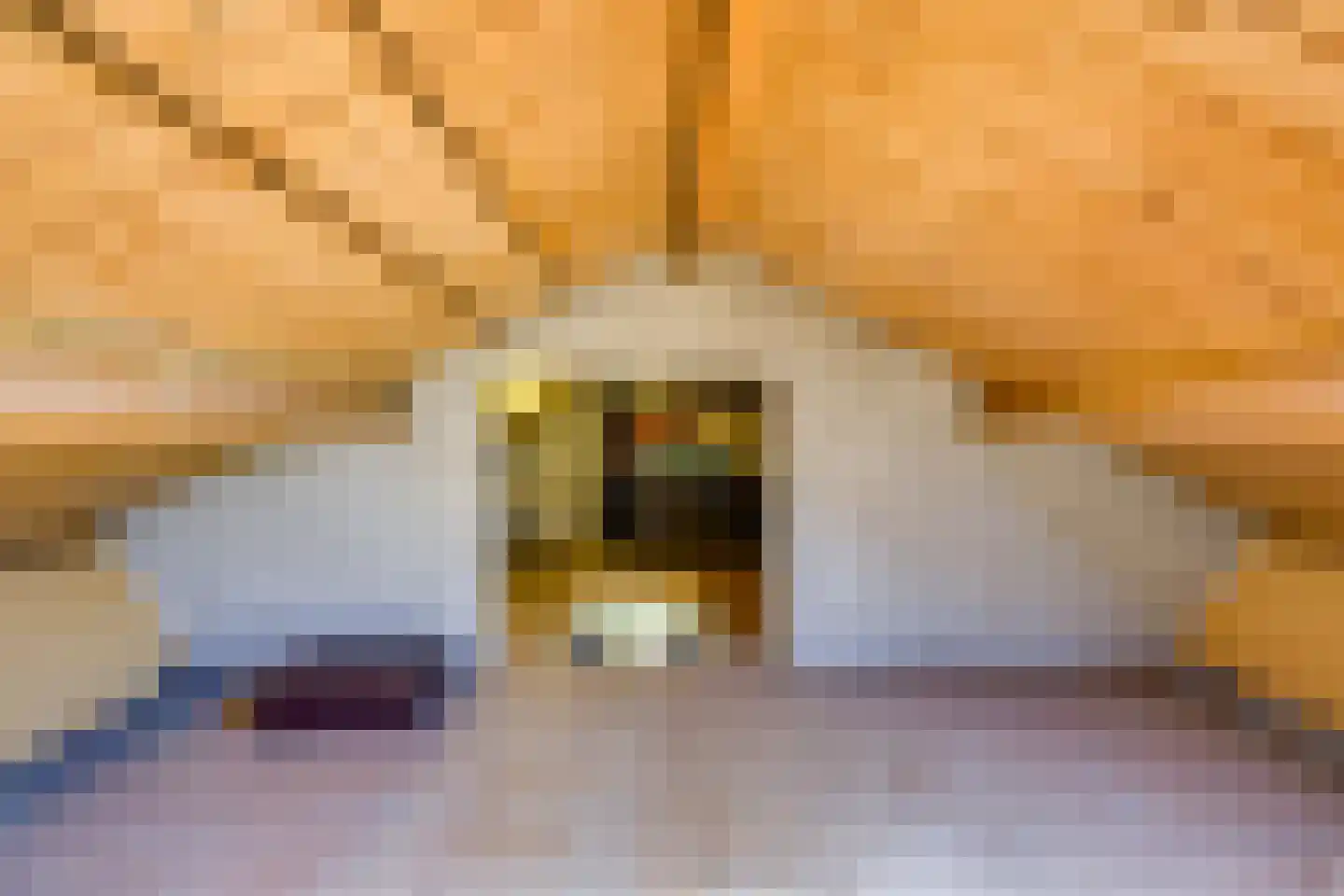 Emmastraat 62 Den Bommel thumbnail 39