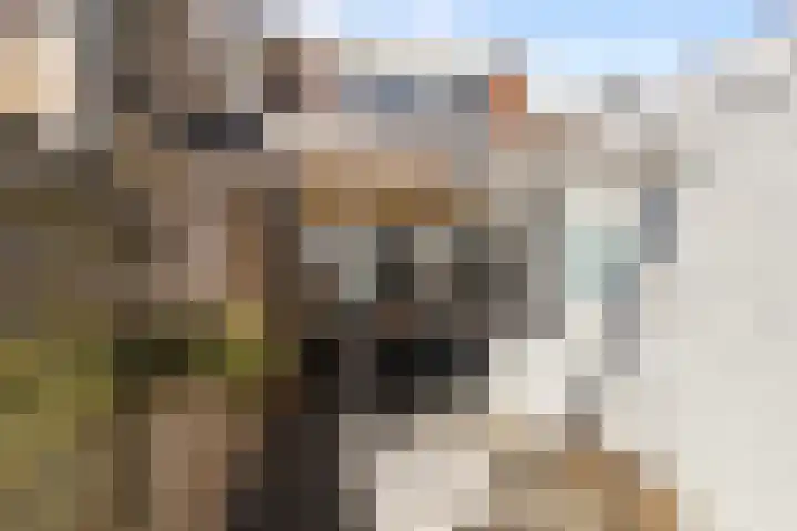 Emmastraat 64 Den Helder thumbnail 13