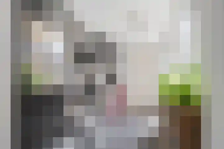Emmastraat 64 Den Helder thumbnail 7
