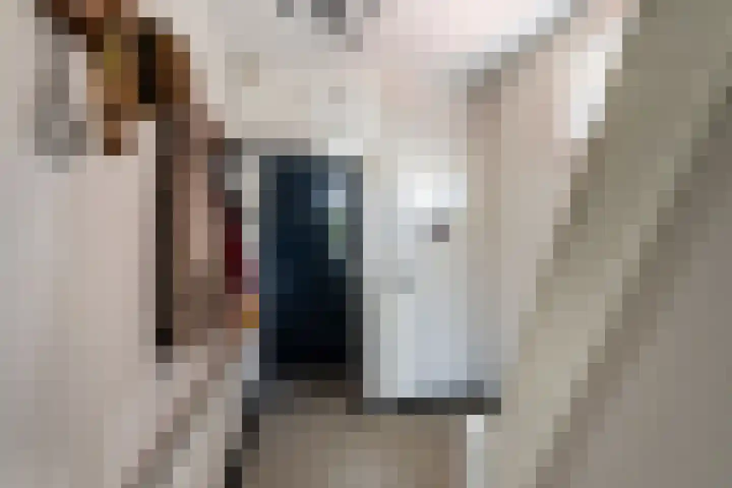 Emmastraat 64 Monster thumbnail 19
