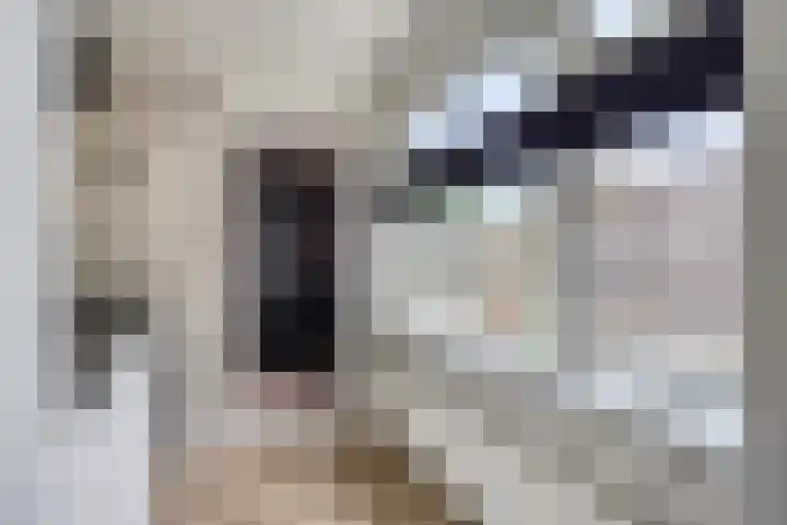 Emmastraat 69 Borne thumbnail 12