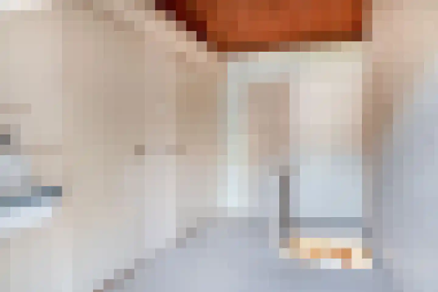 Emmastraat 69 Lekkerkerk thumbnail 16