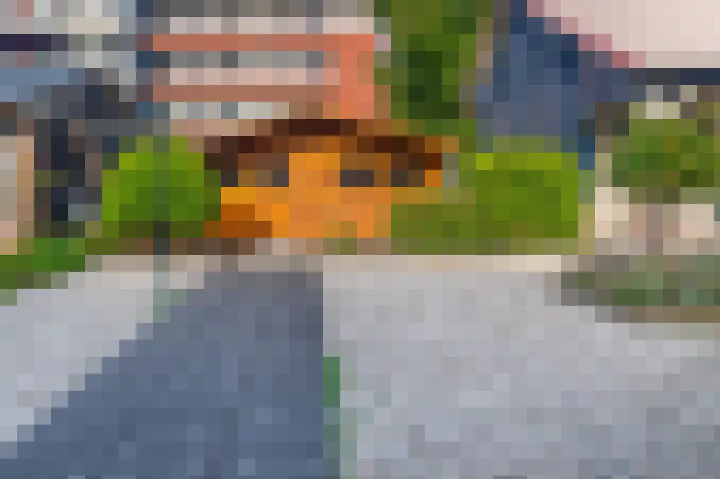 Emmastraat 69 Lekkerkerk thumbnail 27