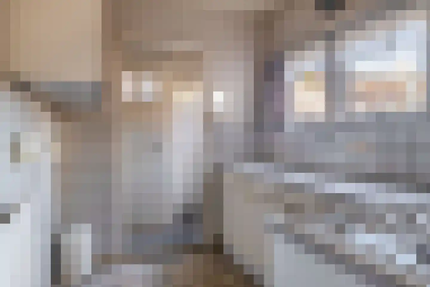 Emmastraat 69 Lekkerkerk thumbnail 9