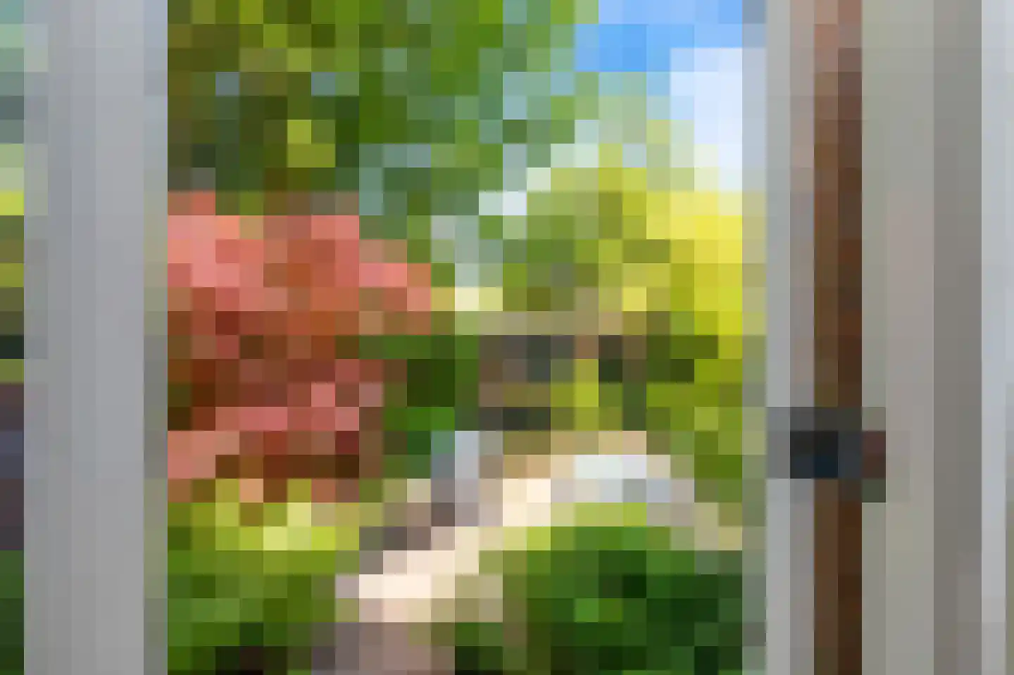 Emmastraat 7 Alkmaar thumbnail 13