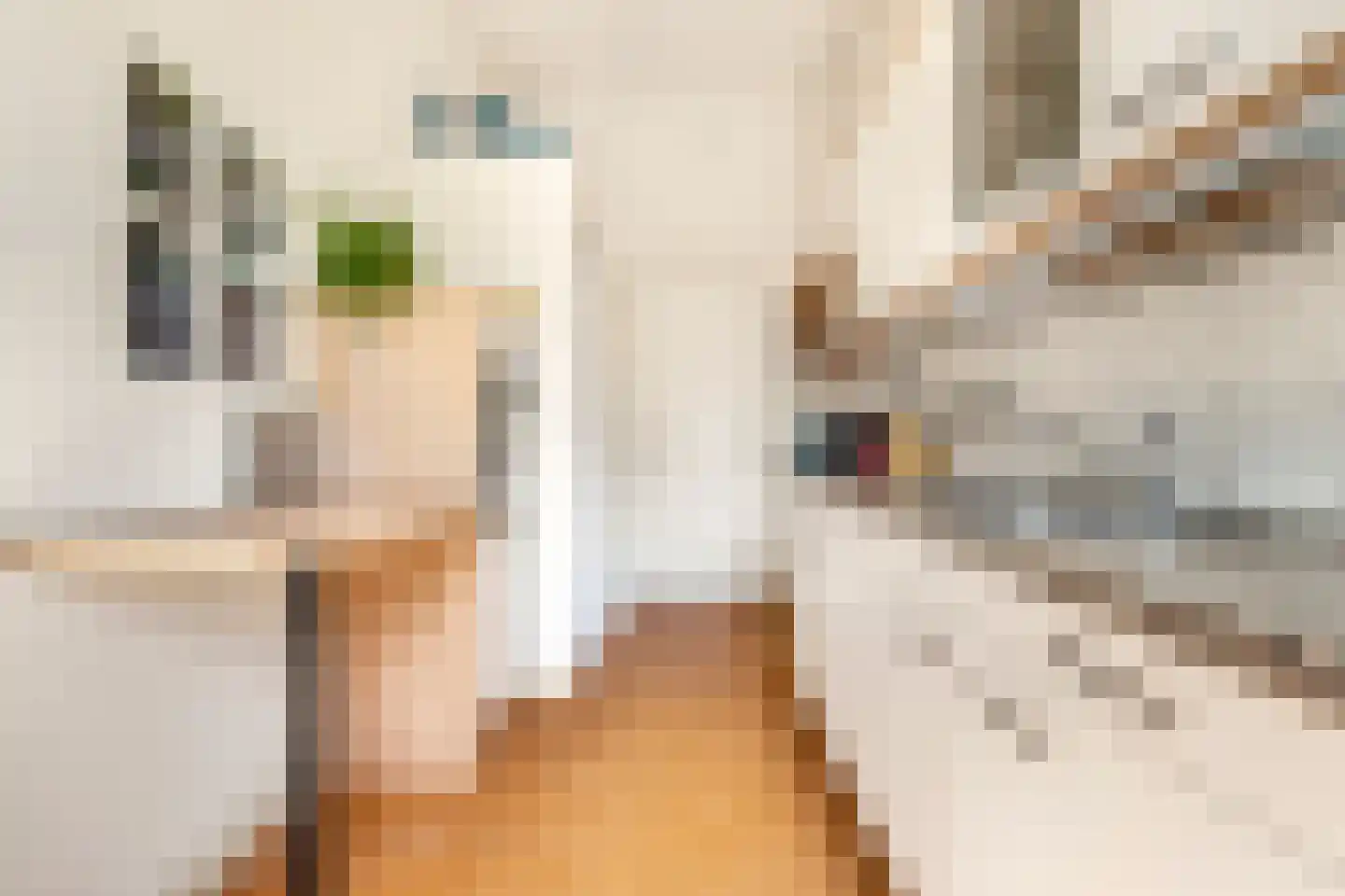 Emmastraat 7 Alkmaar thumbnail 25