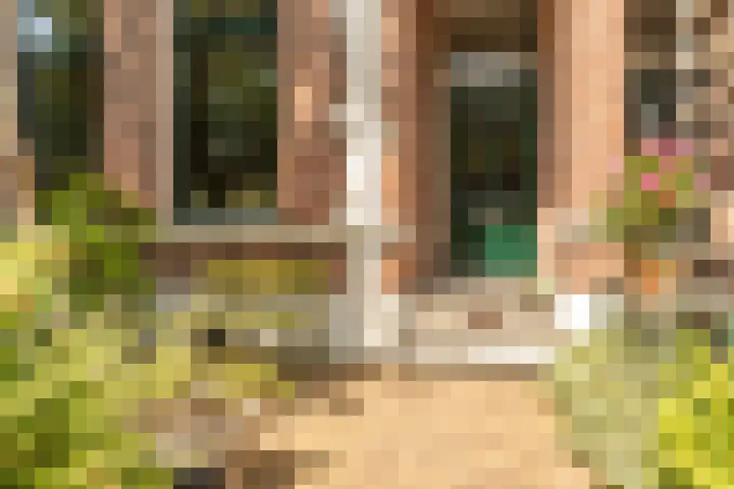 Emmastraat 7 Alkmaar thumbnail 56