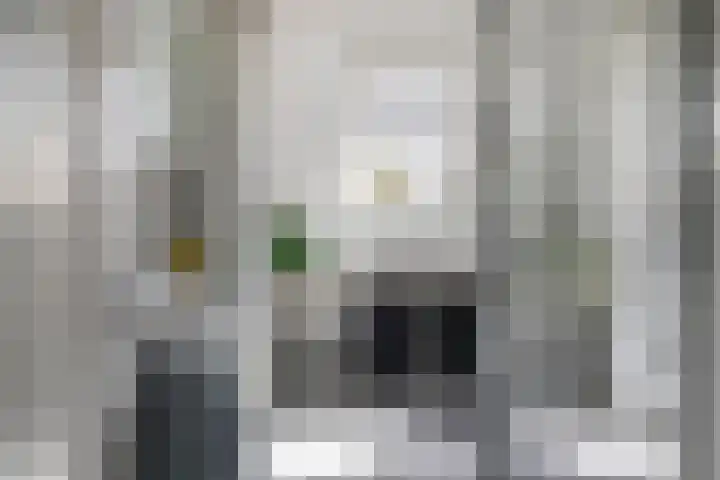 Emmastraat 7 Groot-Ammers thumbnail 27
