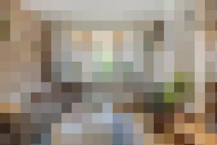 Emmastraat 7 Groot-Ammers thumbnail 7