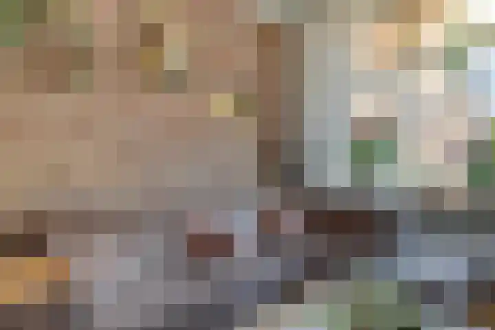 Emmastraat 7 Groot-Ammers thumbnail 9