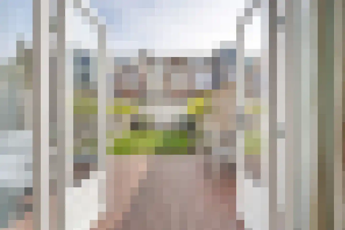 Emmastraat 7 Rijswijk thumbnail 12