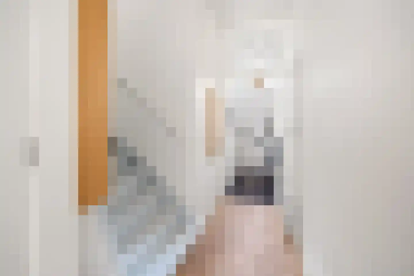 Emmastraat 7 Rijswijk thumbnail 20