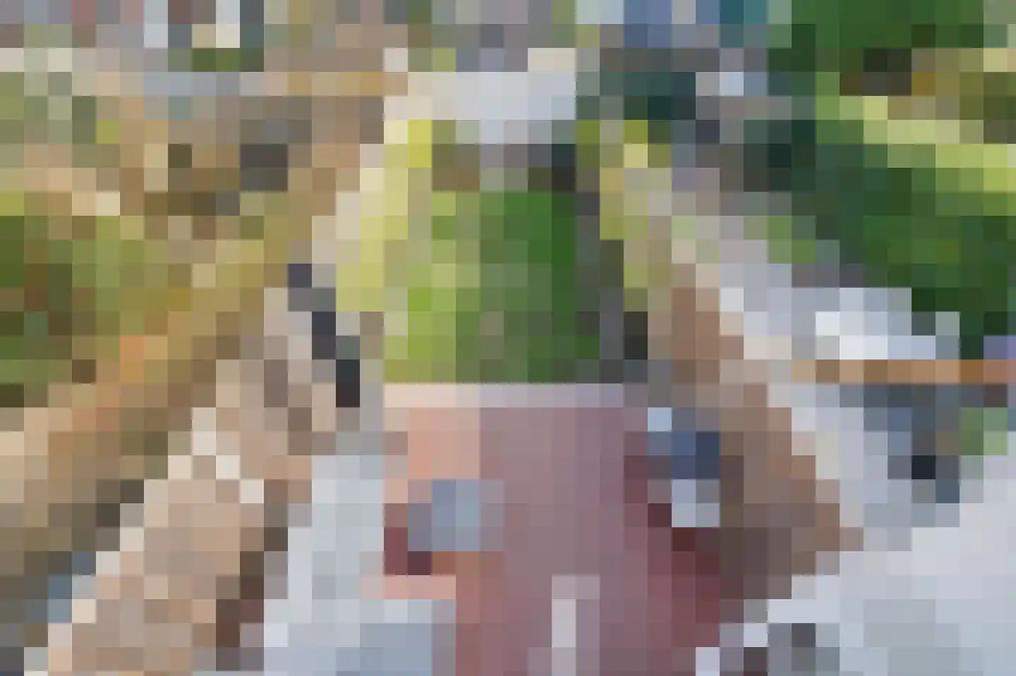 Emmastraat 7 Rijswijk thumbnail 23