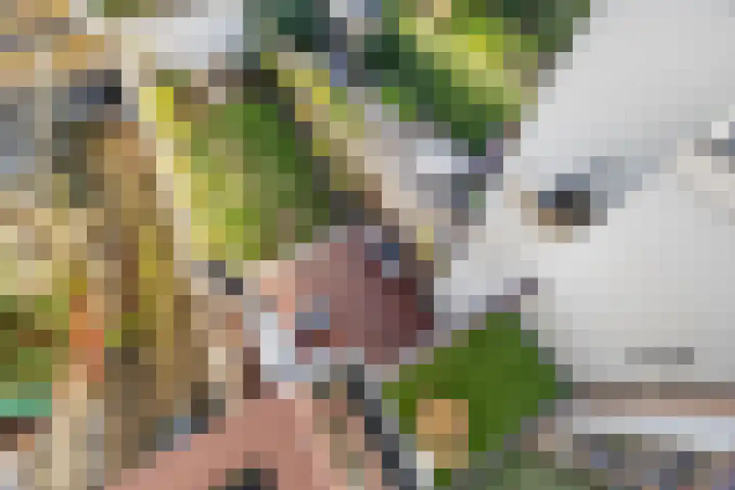 Emmastraat 7 Rijswijk thumbnail 35