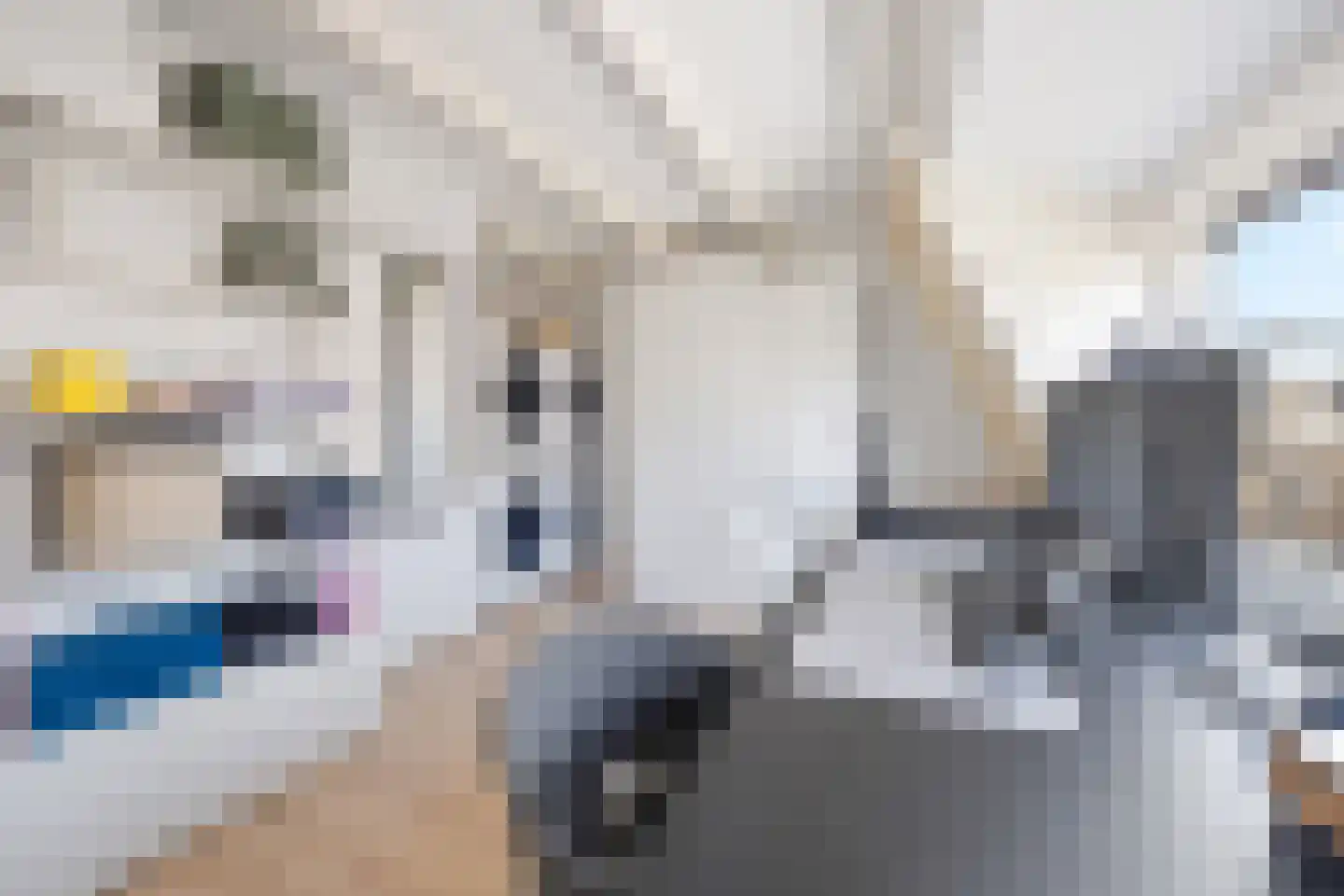 Emmastraat 7 Rijswijk thumbnail 37