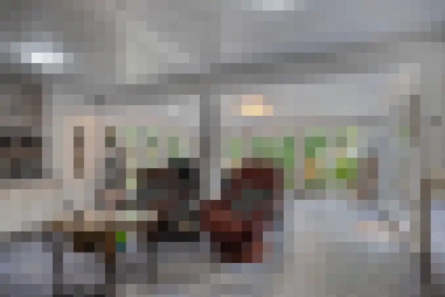 Emmastraat 7 Wellerlooi thumbnail 17