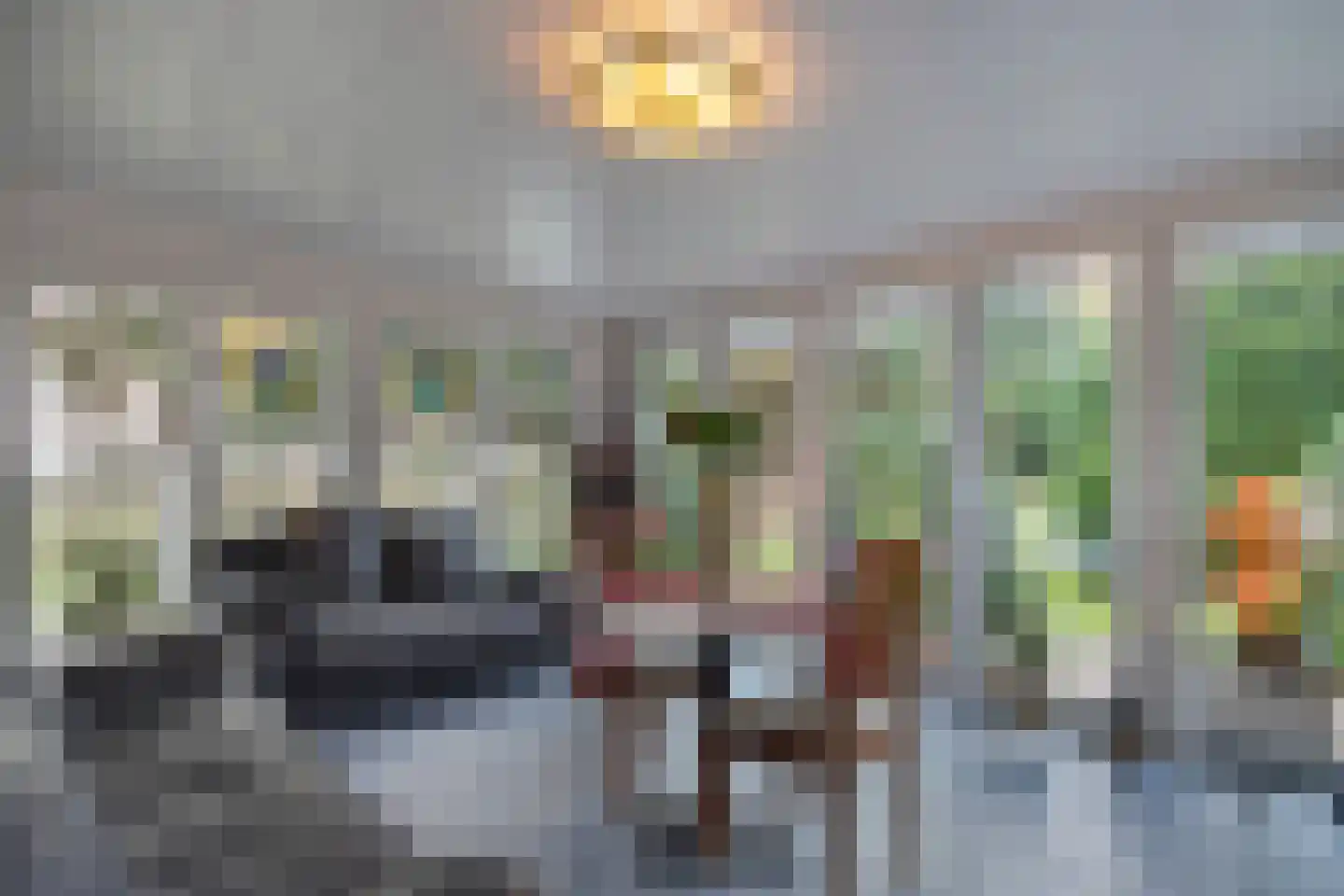 Emmastraat 7 Wellerlooi thumbnail 18
