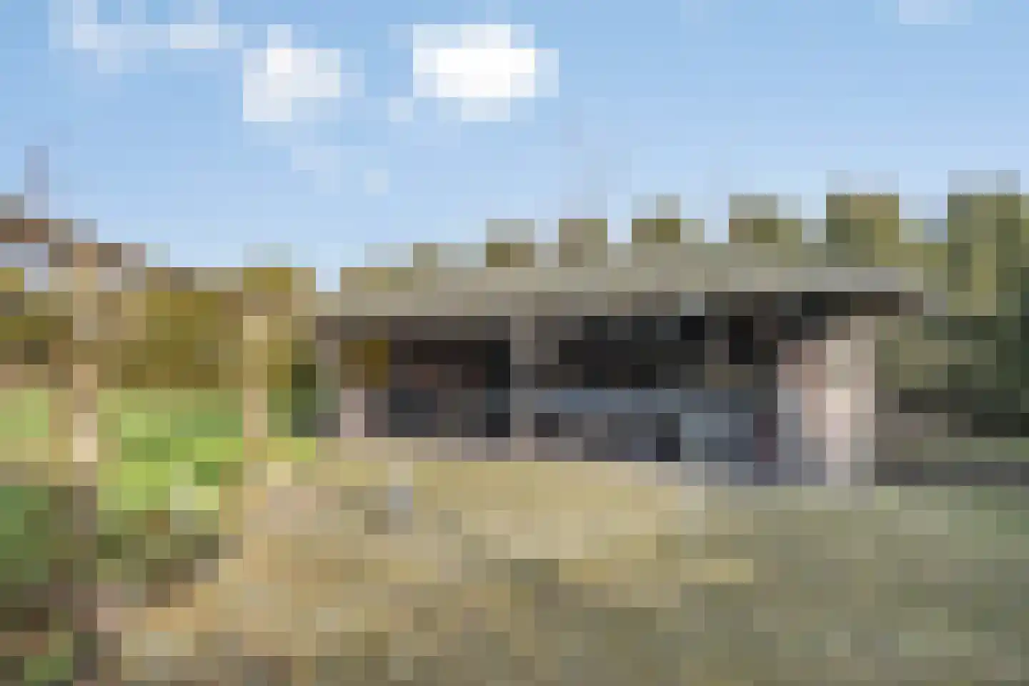 Emmastraat 7 Wellerlooi thumbnail 75